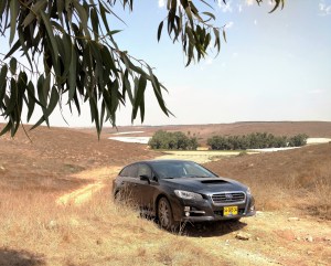 %d7%9c%d7%91%d7%95%d7%a8%d7%92-%d7%91%d7%a2%d7%9c%d7%99%d7%94-2-jpg