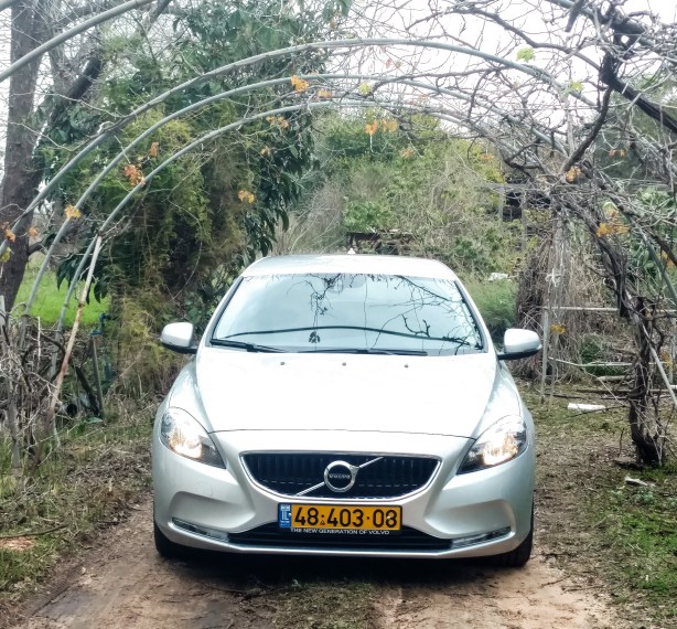 %d7%aa%d7%9e%d7%95%d7%a0%d7%aa-%d7%a4%d7%aa%d7%99%d7%97%d7%94